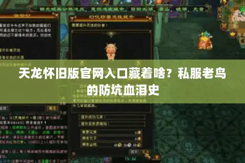 天龙怀旧版官网入口藏着啥？私服老鸟的防坑血泪史