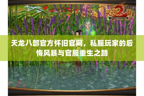天龙八部官方怀旧官网，私服玩家的后悔风暴与官服重生之路