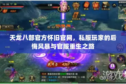 天龙八部官方怀旧官网，私服玩家的后悔风暴与官服重生之路