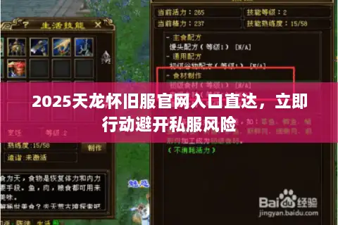 2025天龙怀旧服官网入口直达，立即行动避开私服风险