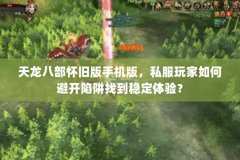 天龙八部怀旧版手机版，私服玩家如何避开陷阱找到稳定体验？