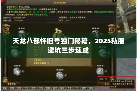天龙八部怀旧号独门秘籍,2025私服避坑三步速成 天龙八部怀旧号独门秘籍,2025私服避坑三步速成