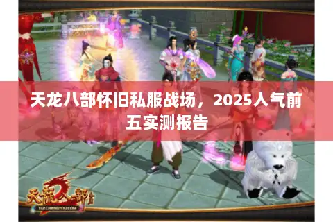 天龙八部怀旧私服战场，2025人气前五实测报告