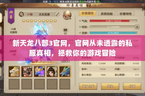 新天龙八部3官网，官网从未透露的私服真相，拯救你的游戏冒险