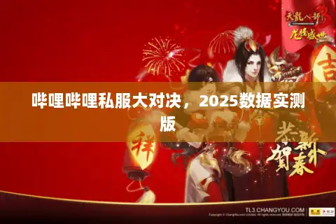 哔哩哔哩私服大对决，2025数据实测版