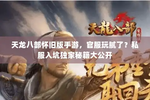 天龙八部怀旧版手游，官服玩腻了？私服入坑独家秘籍大公开