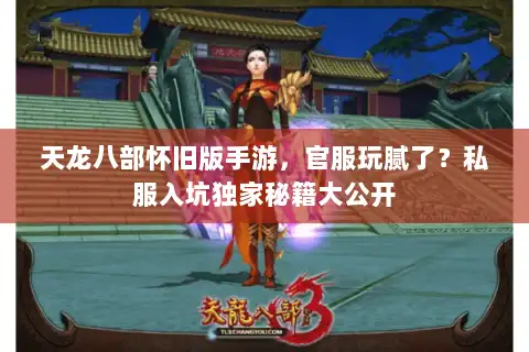 天龙八部怀旧版手游，官服玩腻了？私服入坑独家秘籍大公开