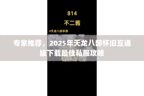 专家推荐，2025年天龙八部怀旧互通版下载最佳私服攻略