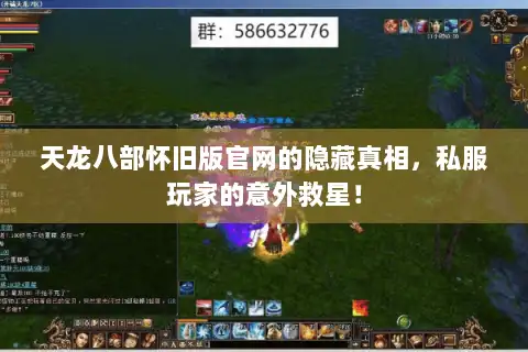 天龙八部怀旧版官网的隐藏真相，私服玩家的意外救星！