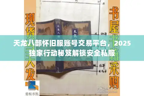 天龙八部怀旧服账号交易平台，2025独家行动秘笈解锁安全私服