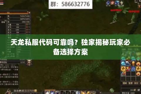 天龙私服代码可靠吗？独家揭秘玩家必备选择方案
