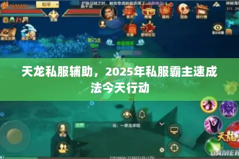 天龙私服辅助，2025年私服霸主速成法今天行动