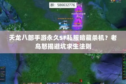 天龙八部手游永久SF私服暗藏杀机？老鸟怒揭避坑求生法则