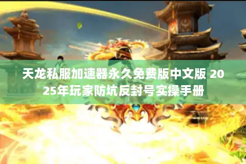 天龙私服加速器永久免费版中文版 2025年玩家防坑反封号实操手册 天龙私服加速器永久免费版中文版 2025年玩家防坑反封号实操手册