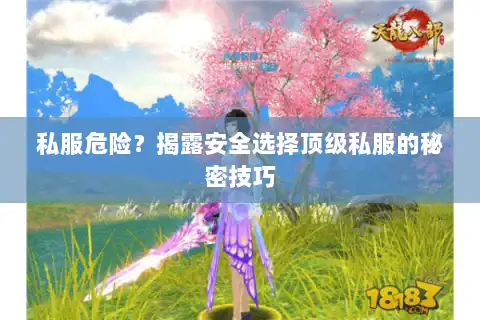 私服危险？揭露安全选择顶级私服的秘密技巧