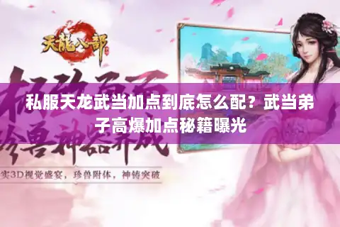 私服天龙武当加点到底怎么配？武当弟子高爆加点秘籍曝光