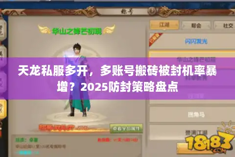 天龙私服多开，多账号搬砖被封机率暴增？2025防封策略盘点