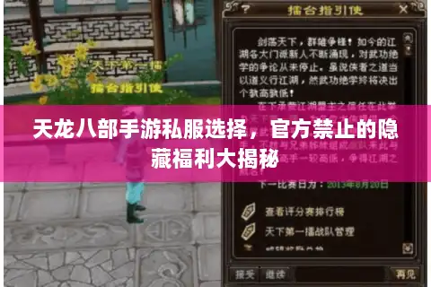 天龙八部手游私服选择,官方禁止的隐藏福利大揭秘 天龙八部手游私服选择,官方禁止的隐藏福利大揭秘