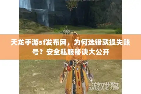 天龙手游sf发布网，为何选错就损失账号？安全私服秘诀大公开