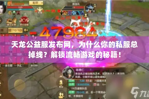 天龙公益服发布网，为什么你的私服总掉线？解锁流畅游戏的秘籍！