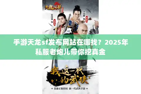 手游天龙sf发布网站在哪找？2025年私服老炮儿带你挖真金