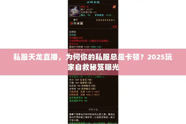 私服天龙直播，为何你的私服总是卡顿？2025玩家自救秘笈曝光