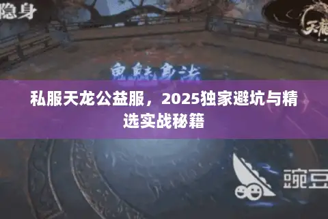 私服天龙公益服，2025独家避坑与精选实战秘籍