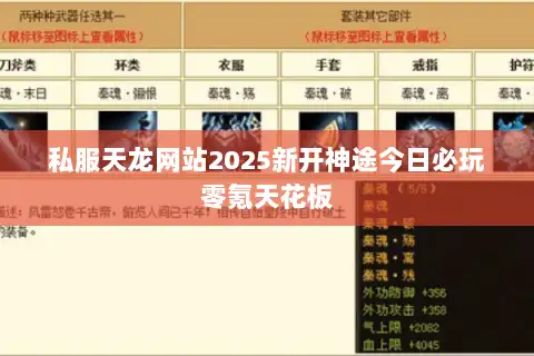 私服天龙网站2025新开神途今日必玩零氪天花板