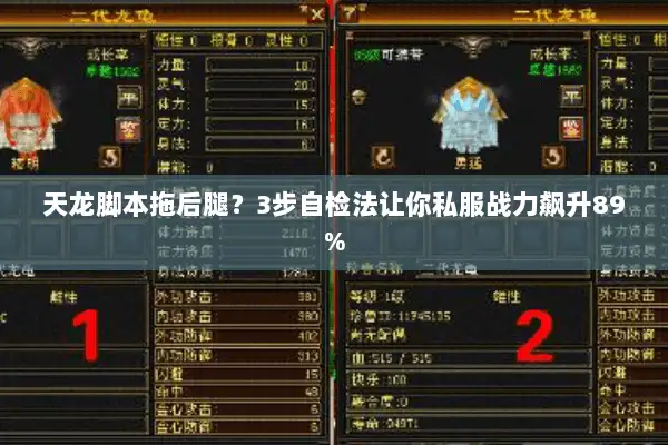 天龙脚本拖后腿？3步自检法让你私服战力飙升89%