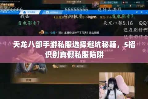 天龙八部手游私服选择避坑秘籍，5招识别真假私服陷阱