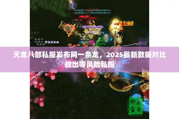天龙八部私服发布网一条龙，2025最新数据对比找出零风险私服
