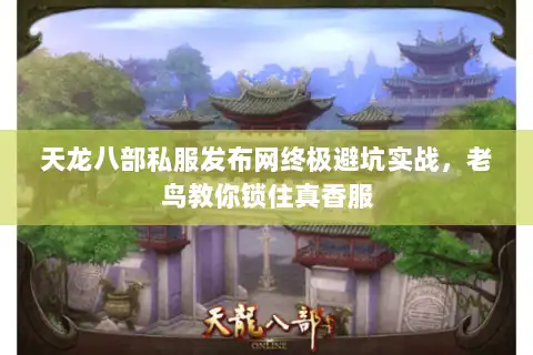 天龙八部私服发布网终极避坑实战，老鸟教你锁住真香服