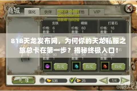 818天龙发布网，为何你的天龙私服之旅总卡在第一步？揭秘终极入口！