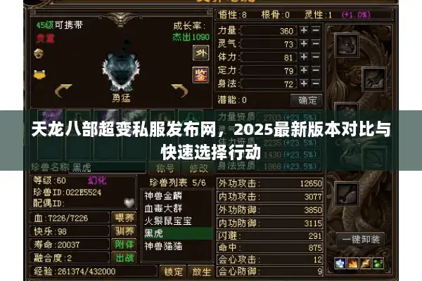 天龙八部超变私服发布网，2025最新版本对比与快速选择行动