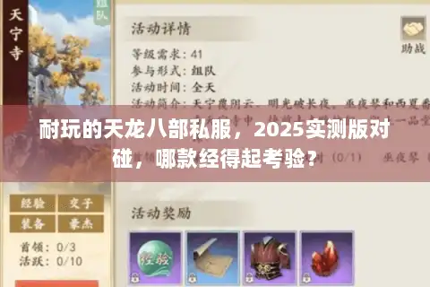 耐玩的天龙八部私服，2025实测版对碰，哪款经得起考验？