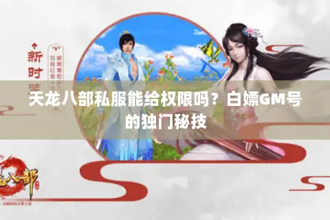天龙八部私服能给权限吗？白嫖GM号的独门秘技