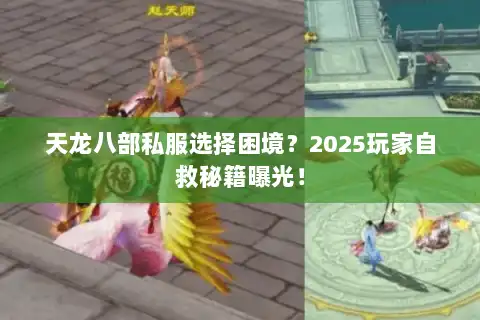 天龙八部私服选择困境？2025玩家自救秘籍曝光！