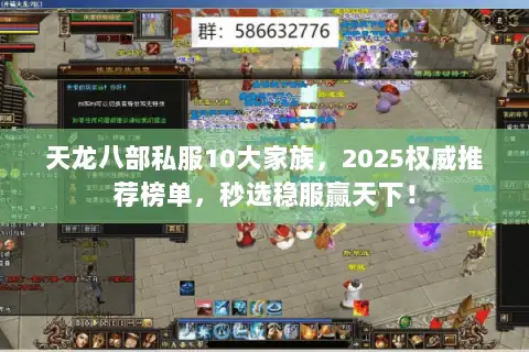 天龙八部私服10大家族，2025权威推荐榜单，秒选稳服赢天下！