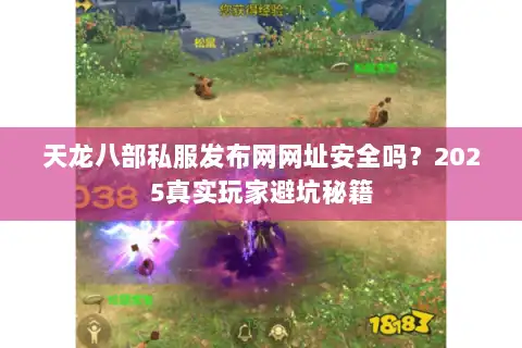 天龙八部私服发布网网址安全吗？2025真实玩家避坑秘籍
