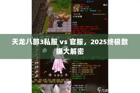 天龙八部3私服 vs 官服,2025终极数据大解密 天龙八部3私服 vs 官服,2025终极数据大解密