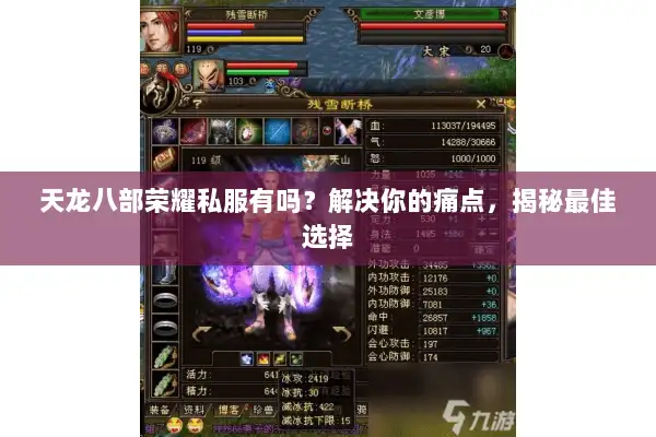 天龙八部荣耀私服有吗？解决你的痛点，揭秘最佳选择
