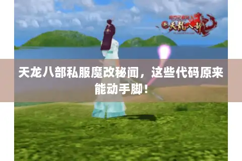天龙八部私服魔改秘闻，这些代码原来能动手脚！
