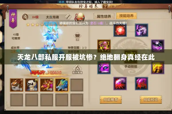 天龙八部私服开服被坑惨？绝地翻身真经在此