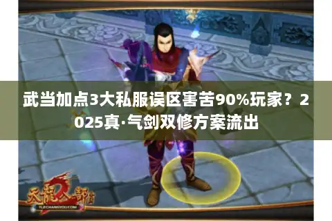 武当加点3大私服误区害苦90%玩家？2025真·气剑双修方案流出