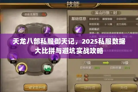 天龙八部私服御天记，2025私服数据大比拼与避坑实战攻略