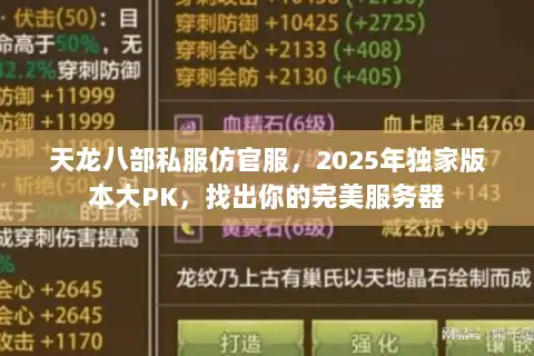 天龙八部私服仿官服,2025年独家版本大PK,找出你的完美服务器 天龙八部私服仿官服,2025年独家版本大PK,找出你的完美服务器