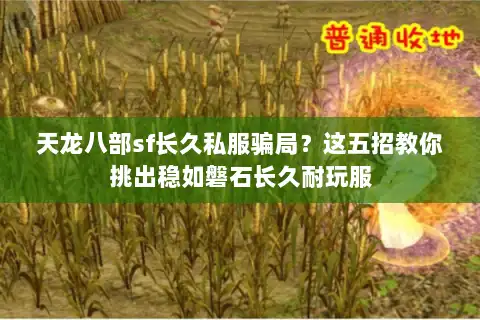 天龙八部sf长久私服骗局？这五招教你挑出稳如磐石长久耐玩服