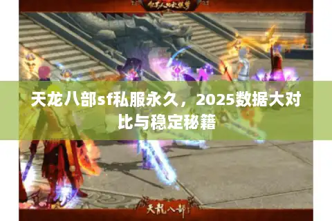 天龙八部sf私服永久，2025数据大对比与稳定秘籍