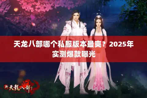 天龙八部哪个私服版本最爽？2025年实测爆款曝光