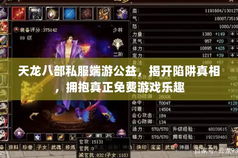 天龙八部私服端游公益，揭开陷阱真相，拥抱真正免费游戏乐趣